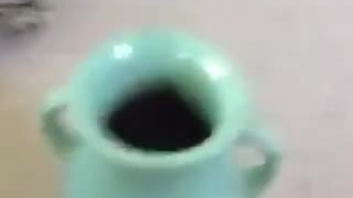 当你凝视深渊时,深渊会给你一巴掌